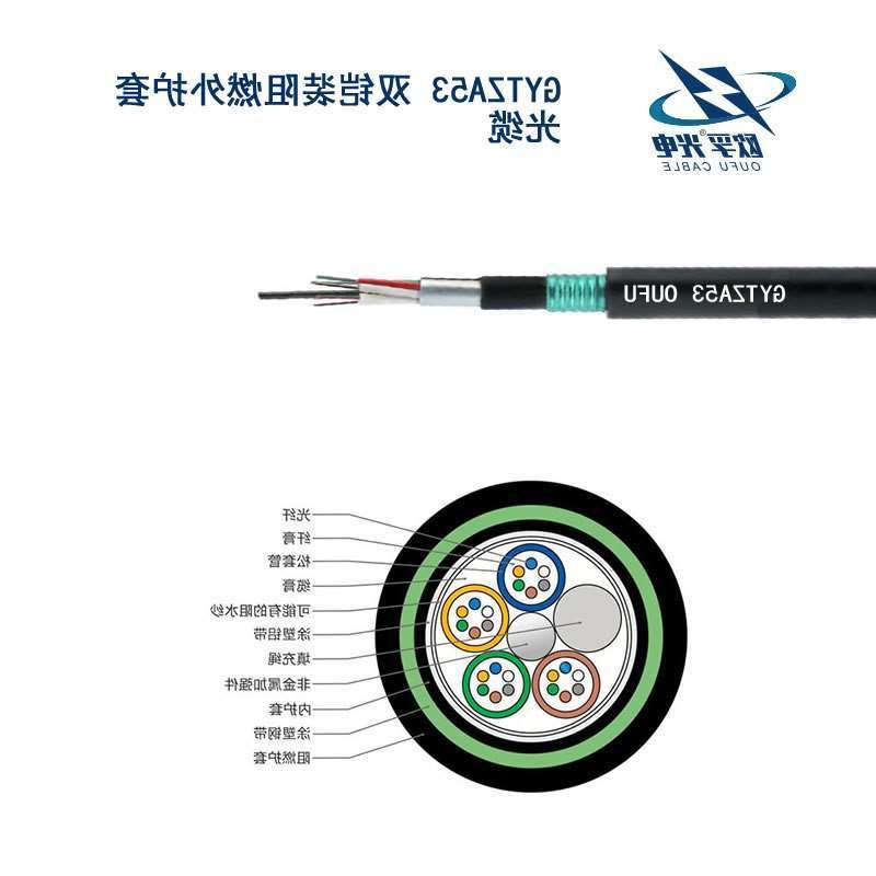 南川区GYTZA53光缆